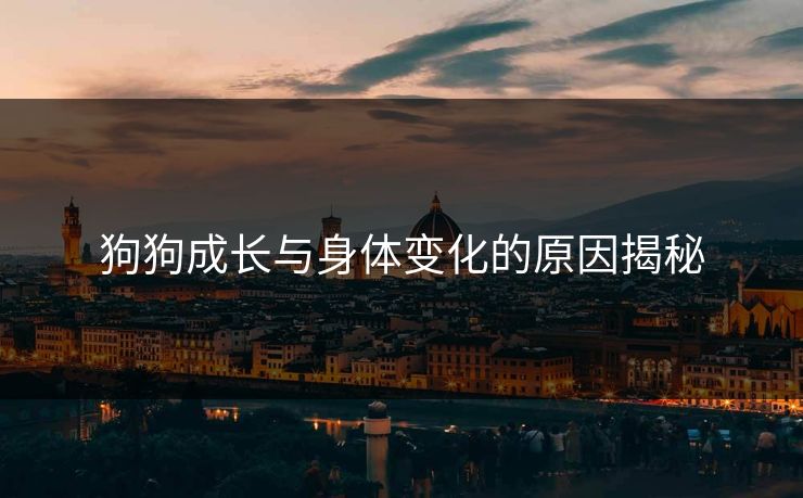 狗狗成长与身体变化的原因揭秘