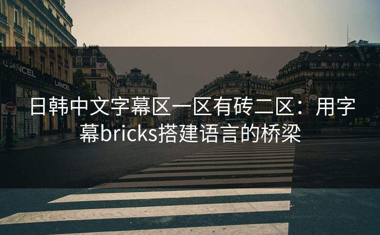 日韩中文字幕区一区有砖二区：用字幕bricks搭建语言的桥梁