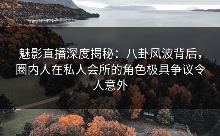 魅影直播深度揭秘：八卦风波背后，圈内人在私人会所的角色极具争议令人意外